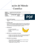 Oxidación Del Plátano