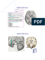 Diencéfalo PDF