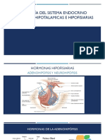 Hormonas Hipotlamicas e Hipofisiarias