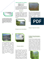 BOSQUES ECUATORIANOS Triptico