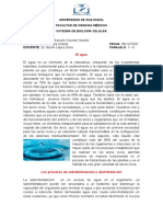 El Agua y Los Procesos de Sobrehidratación - Deshidratación