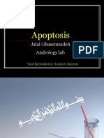 Apoptosis PDF