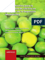 Manual Técnico para La Producción de Cítricos en La Región de La Depresión Momposina