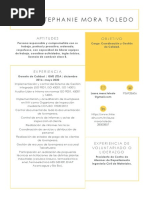 Curriculum Vitae Laura Mora