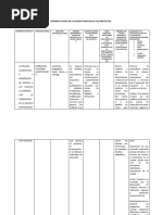 INFORME AVANCE DE LAS ESTRUCTURACION DE LOS PROYECTOS Katia