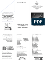 Triptico Derechos Humanos Sin Color