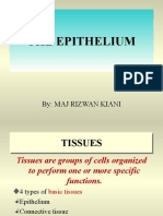 The Epithelium: By: Maj Rizwan Kiani