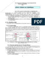 5 Le Squelette Crânien PDF