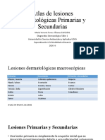 Atlas de Lesiones Dermatológicas Primarias y Secundarias