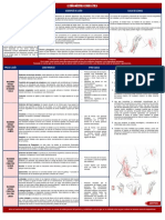 Lesiones Músculo Esqueléticas