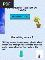 2.3 Transport System in Plants: Transpiration