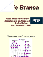 Curso Ouro Preto-Serie Branca Ultimo