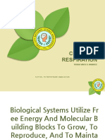 Cellular Respiration: Trisha Vinch D. Navarce