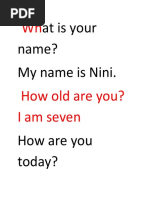 At Is Your Name? My Name Is Nini