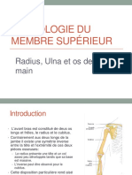 2 Ostéologie Du Membre Supérieur II