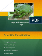 Stages and Development of Frogs2