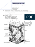01-INTEGUMENTARY SYSTEM Theory