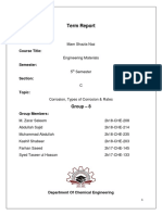 Engineering Materials Term Report PDF