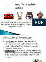 Sensation: Your Window To The World Perception: Interpreting What Comes in Your Window