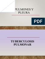 Tema 2 Pulmones y Pleura