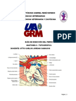 Anatomia Topográfica Del Perro