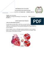 Fisio Inv3