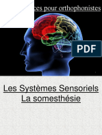 L1neurortho5 PDF