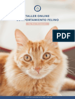 Ebook Comportamiento Felino