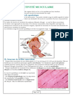 Activité Msculaire