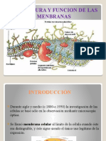 Membranas