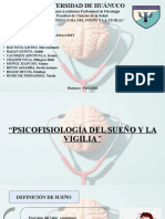 Psicofisiologia Del Sueño