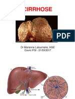 Cirrhose IFSI 2017 PDF