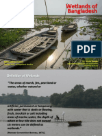 BS-20 Wetlands of BD PDF