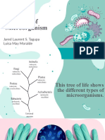 Types of Microorganism 