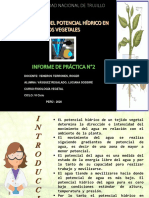 Informe de Práctica #2 de Fisiología Vegetal PDF