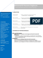 CV PDF