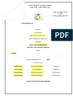 Memoire Transport Final