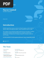 Payver Limited: Executive Summary