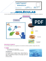 Las Biomoléculas