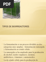 Tipos de Biorreactores