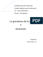 Lo Grandioso de La Vida y Gestacion