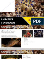 Animales Venenosos