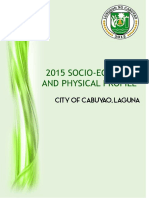 Cabuyao Socio Economic Profile Clup Updated