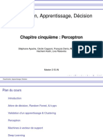 Cours 5-6 Perceptron-SVM