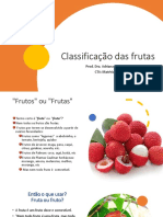 Aula 3.2. Classificação Dos Frutos