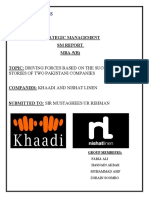 Strategic Management SM Report MBA-5 (B) : Stories of Two Pakistani Companies