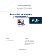 La Acción de Amparo Constitucional.