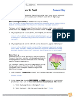 Pollination: Flower To Fruit: Answer Key