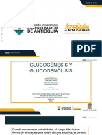 Glucogénesis y Glucogenolisis