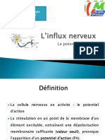 Influx Nerveux 2